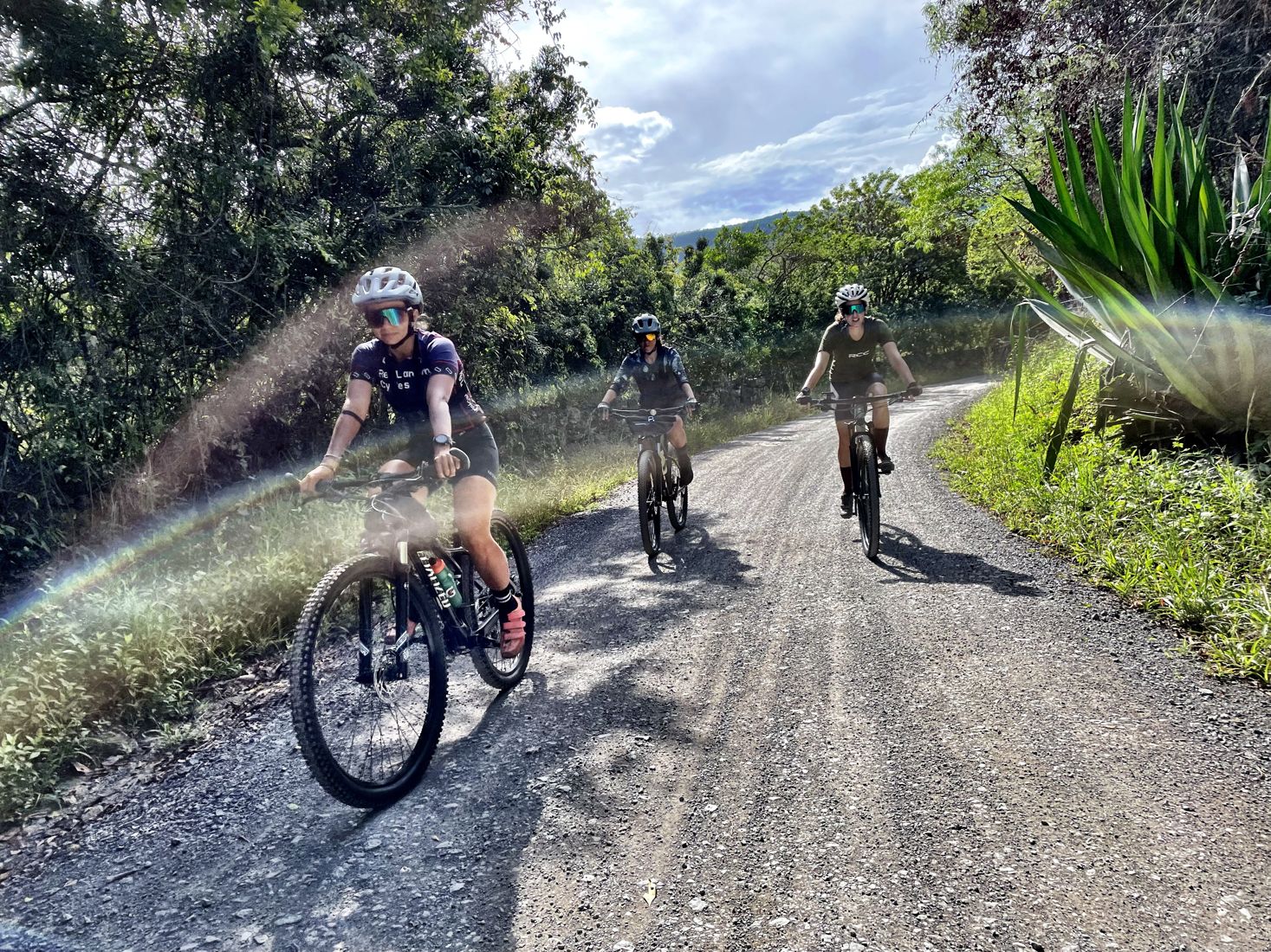 Three riders on a gravel road lined with agave