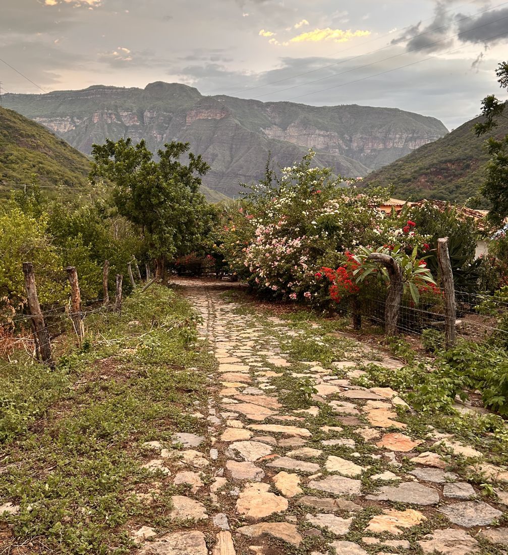 A stone-paved colonial path between flowering hedges, canyon walls behind